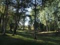 sta zla